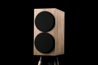 Buchardt Audio E50