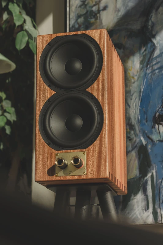Buchardt Audio S400 MKII Schwarz Seidenmatt Rückseite