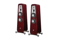 AperionAudio Grandis GR6 Rosewood
