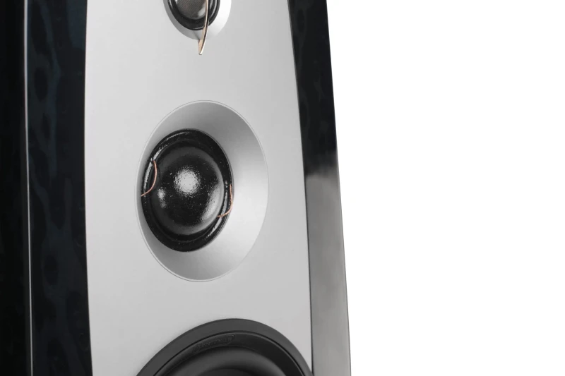 AperionAudio Grandis GR6 Rosewood mit Abdeckung