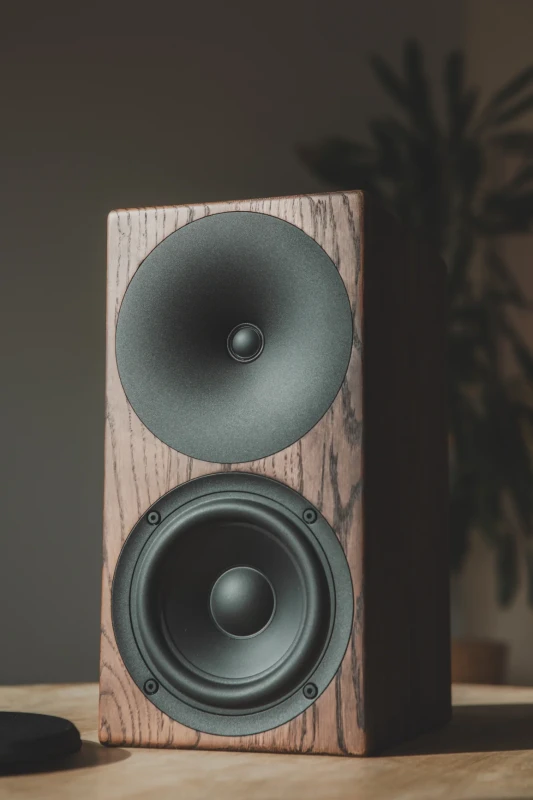 Buchardt Audio A200 Solid Wood