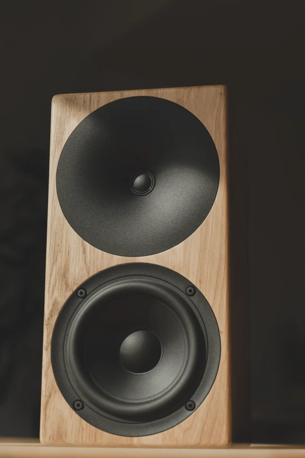 Buchardt Audio A200 Rounded Natural Oak