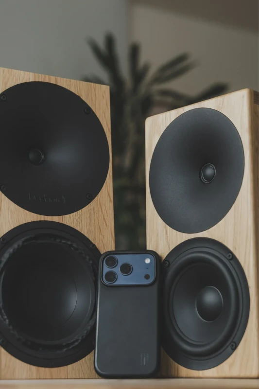 Buchardt Audio A200 Rounded Natural Oak