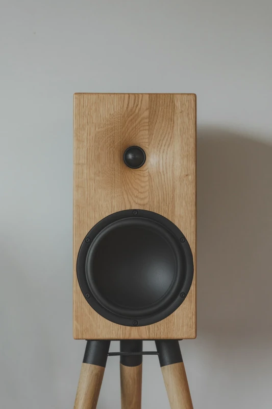 Buchardt Audio E50-S