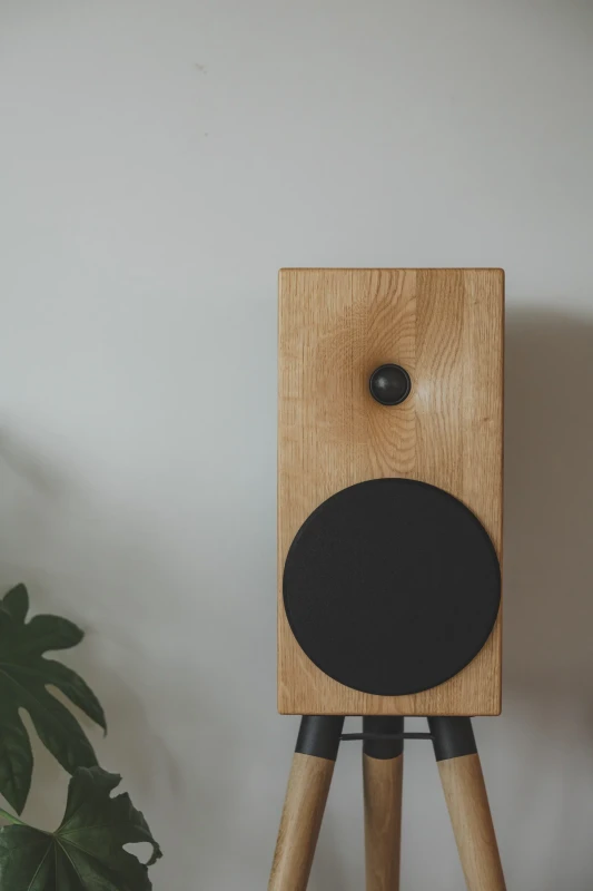 Buchardt Audio E50-S
