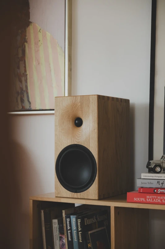 Buchardt Audio E50-S