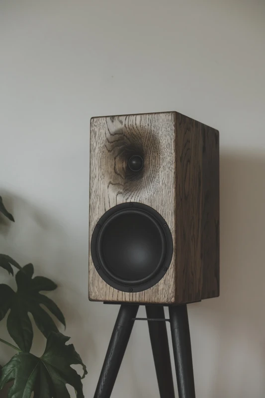 Buchardt Audio E50-S