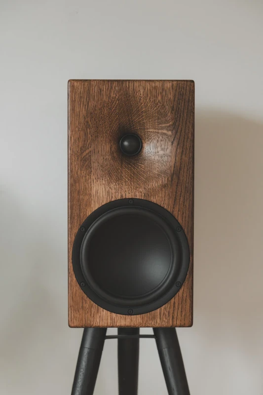 Buchardt Audio S400 MKII Schwarz Seidenmatt Rückseite