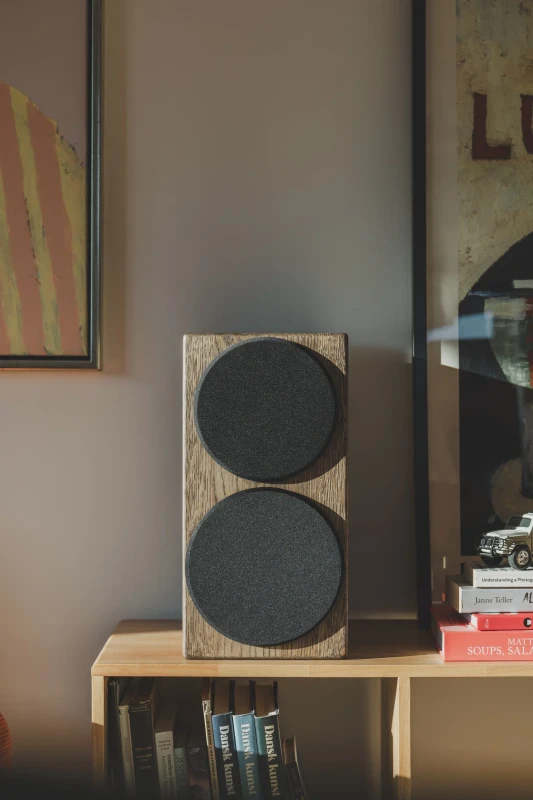 Buchardt Audio E50-S