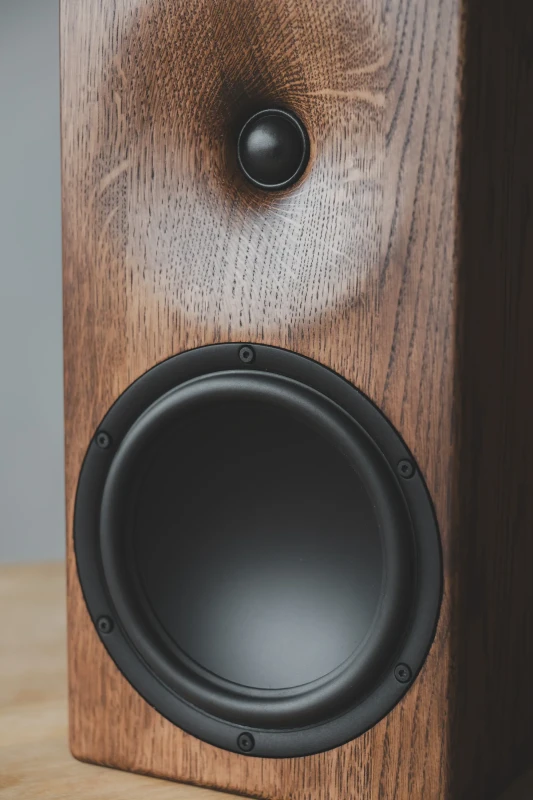 Buchardt Audio E50-S