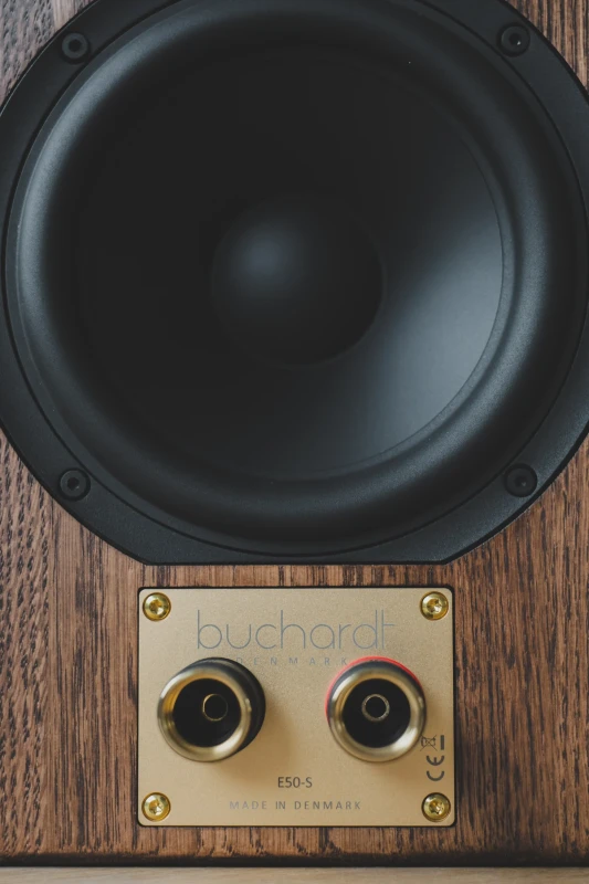 Buchardt Audio E50-S