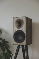 Buchardt Audio E50-S