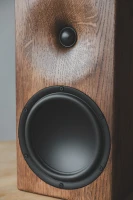 Buchardt Audio E50-S